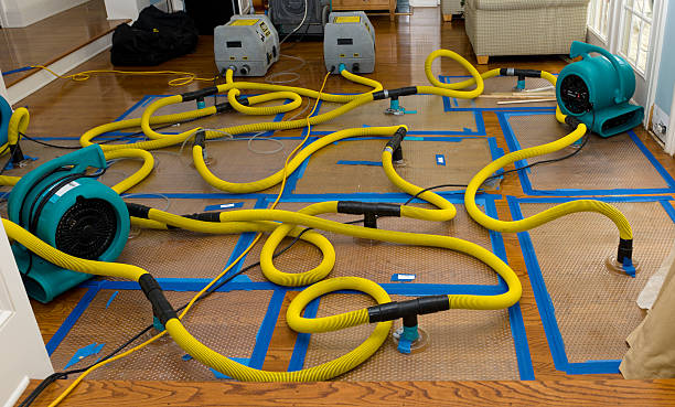 Professional Structural Drying And Dehumidification technician working in Abbott, TX